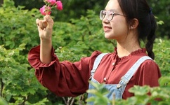 迈开腿让我看看你的那个部位作文